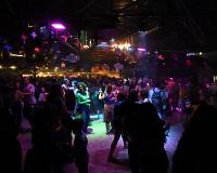 img_1379chloe.jpg