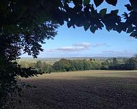 img_20251005_162352.jpg