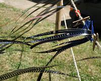 dsc05824.2.jpg