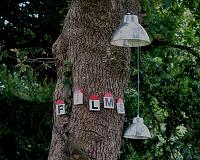 dsc05531.2.jpg