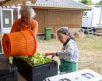 dscf5521layam-3.jpg