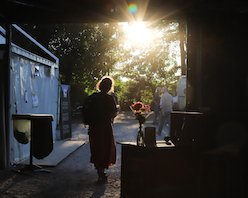 img_8153chloe.jpg